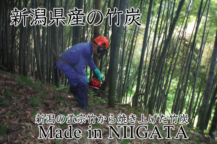 新潟県産の竹炭